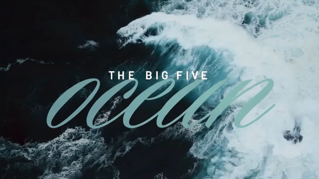 Uma ilustração representando os traços de personalidade Big Five (Abertura, Conscienciosidade, Extroversão, Amabilidade, Neuroticismo), frequentemente chamados de modelo OCEAN, com elementos visuais temáticos ou abstratos.